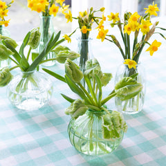 Clear Round Glass Bud Vase - 8cm