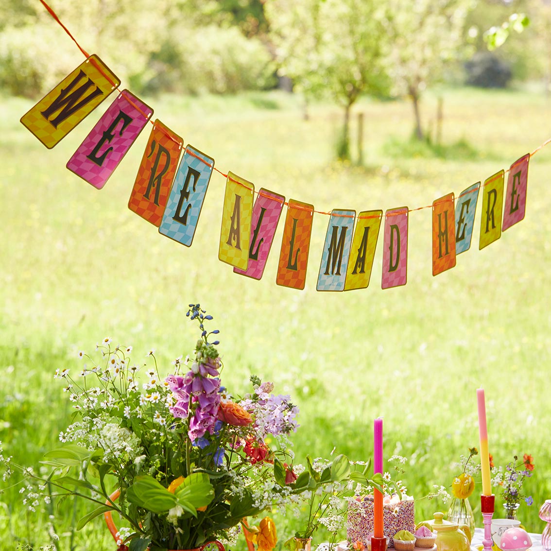 Alice in Wonderland Double Sided Party Bunting - 3m