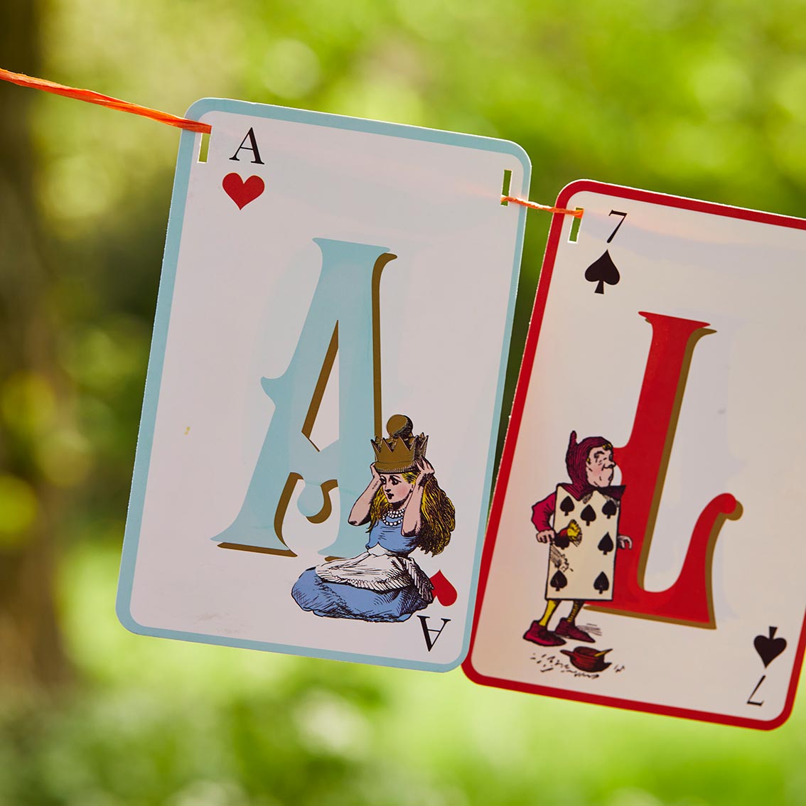 Alice in Wonderland Double Sided Party Bunting - 3m