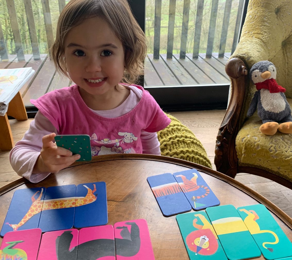 Children's Animals Mix-Up Game