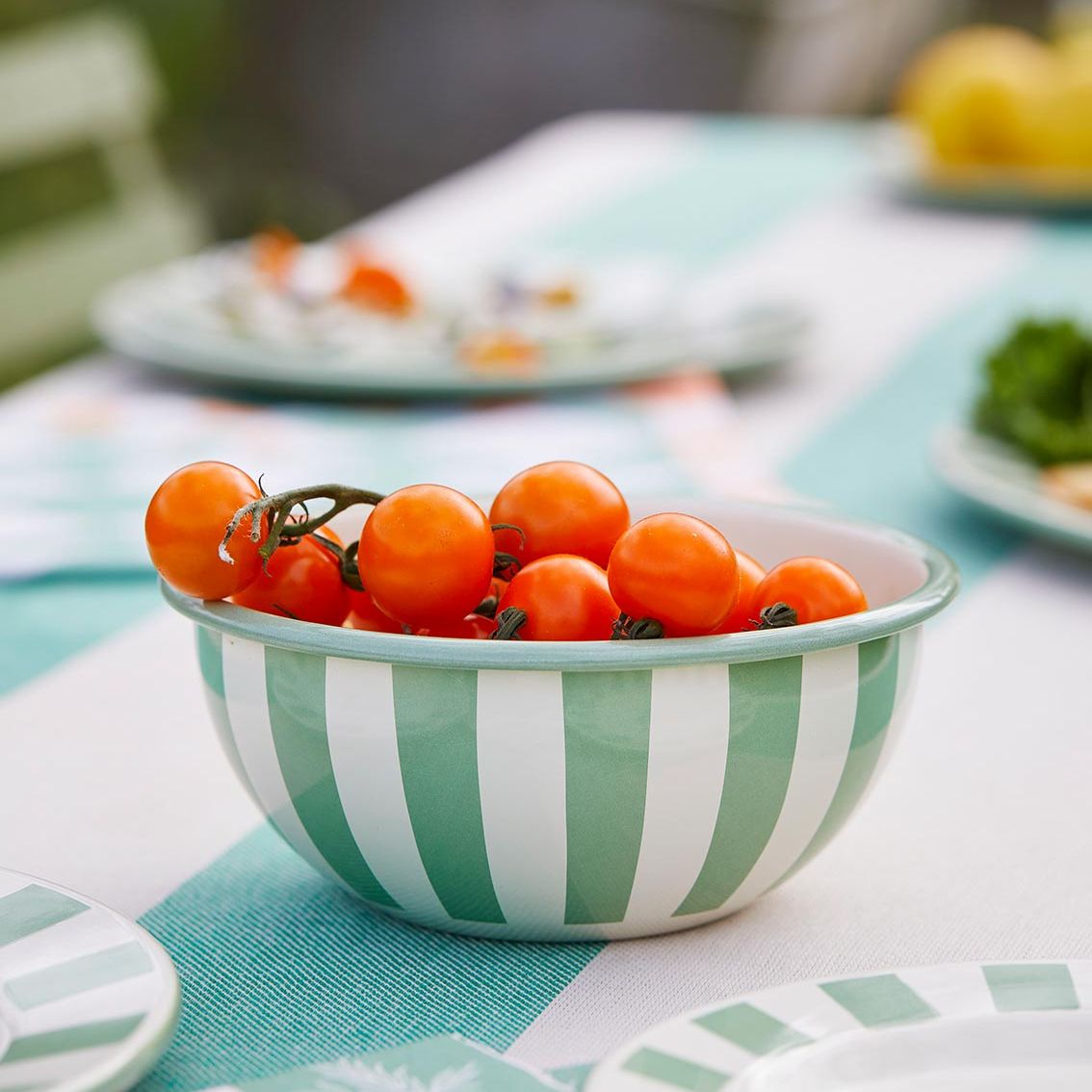 Green Stripe Enamel Bowl - 16cm