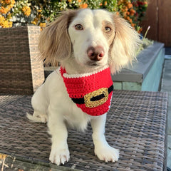 Dog / Cat Santa Christmas Bandana
