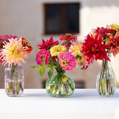 Clear Glass Bud Vase - 14cm